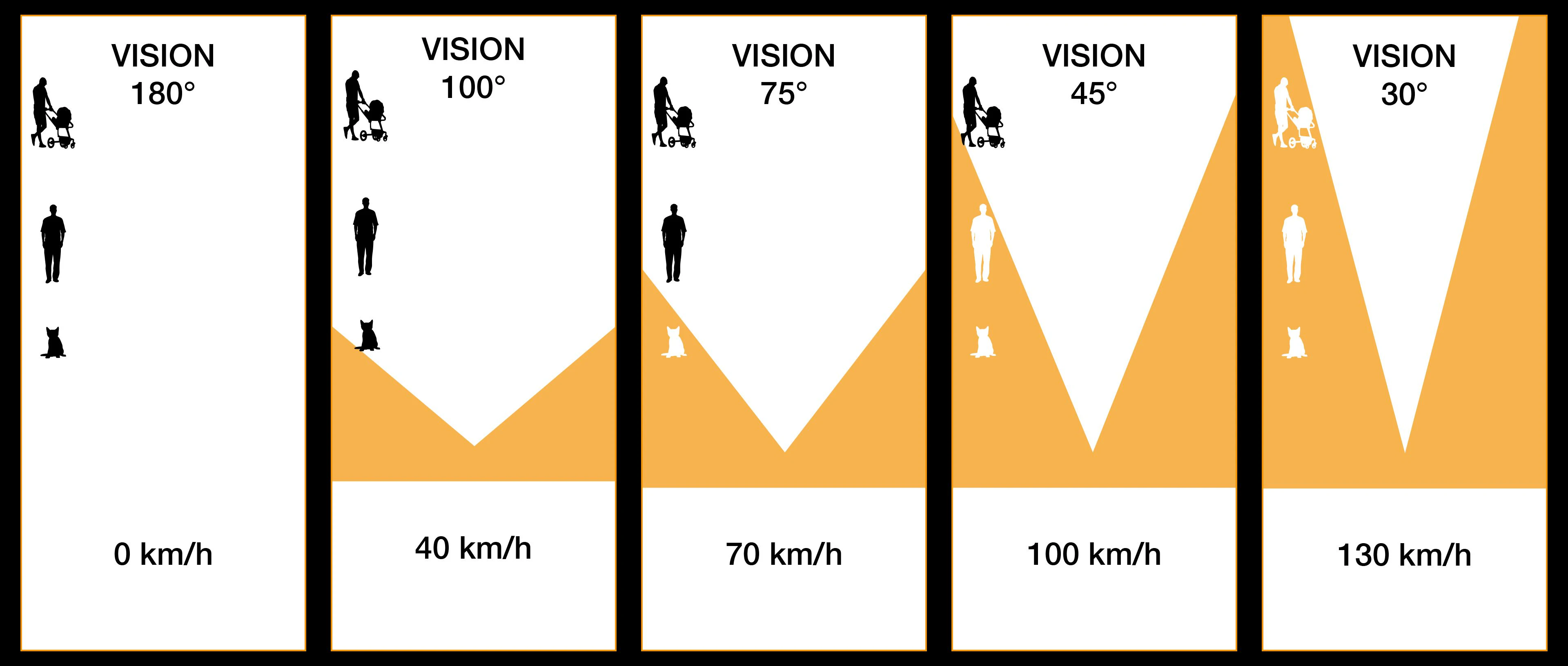 représentation du champ de vision en fonction de la vitesse