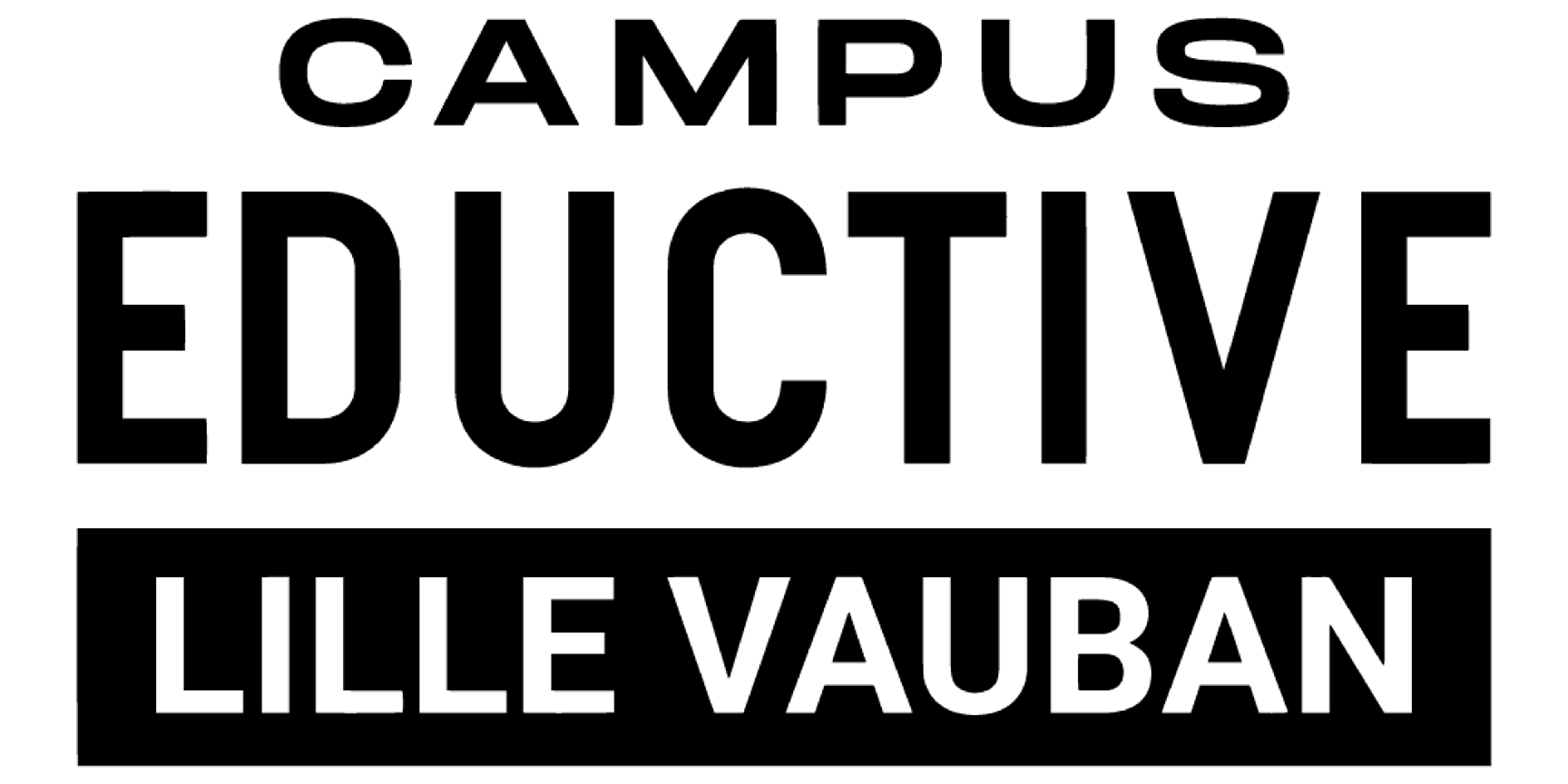 LOGOSLILLEVAUBAN_NOIR(Transparent).png