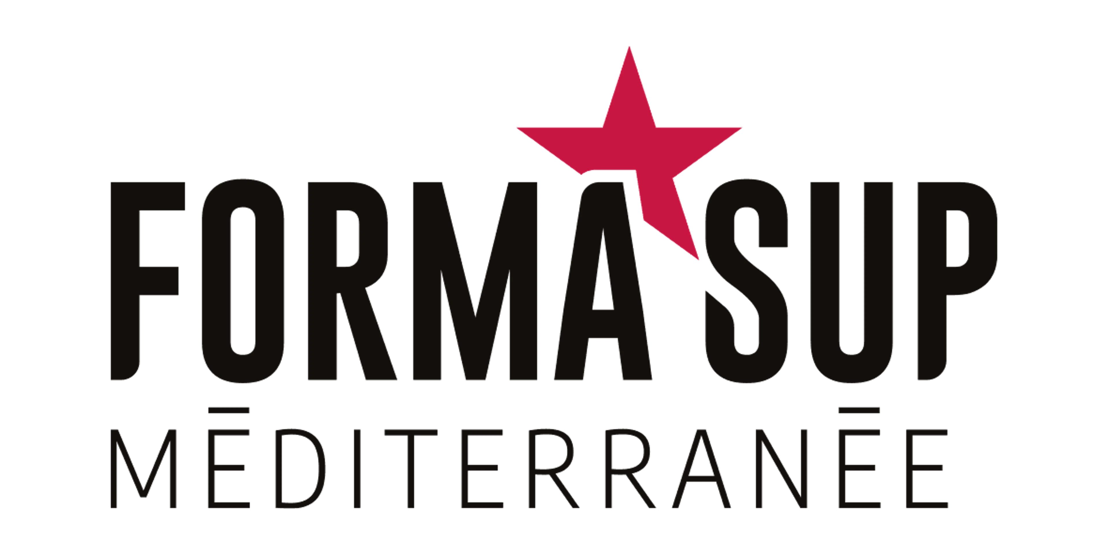 LOGO-FORMASUP-MEDITERRANEE-EXE-01.png