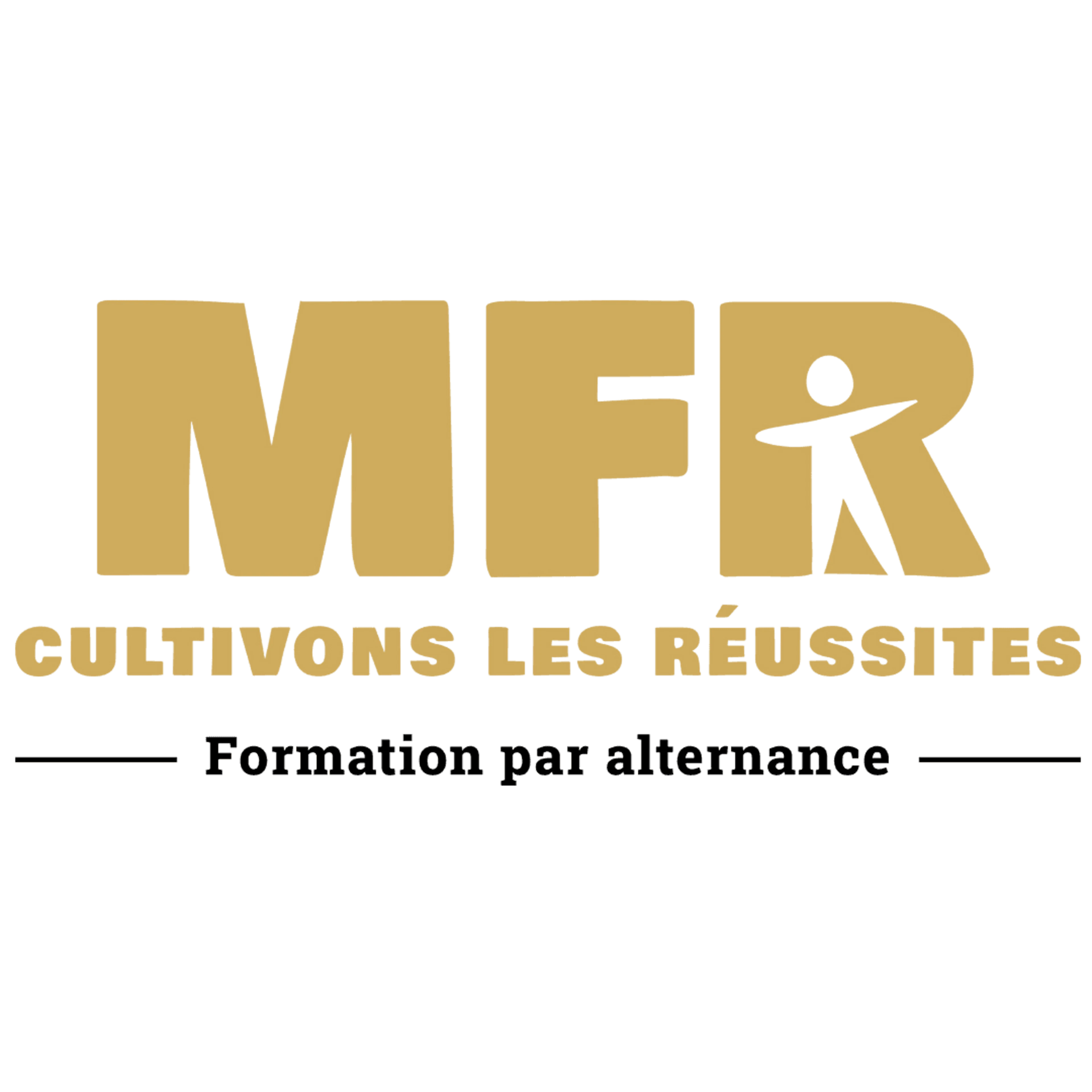 cfa-mfr.avif