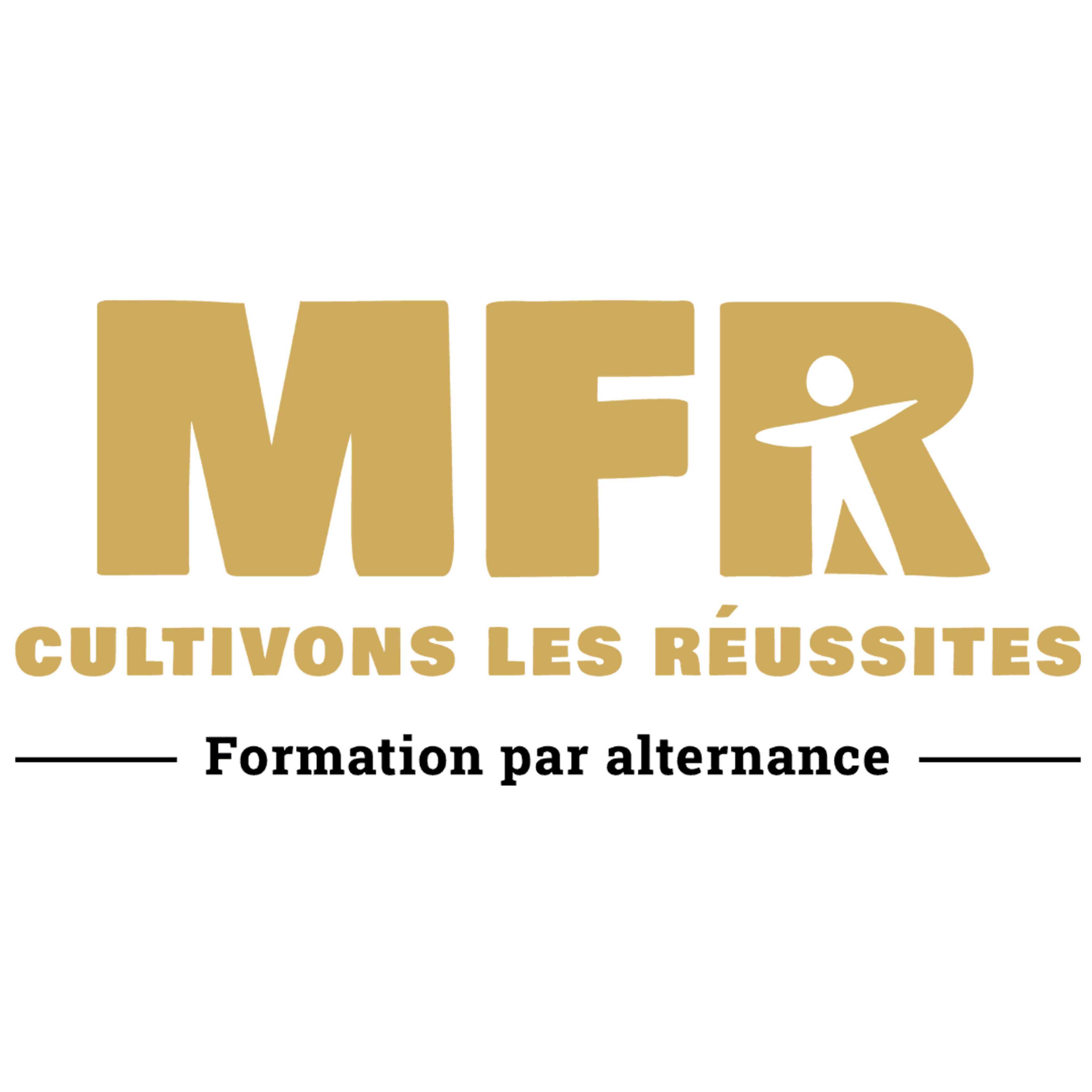 cfa-mfr.avif