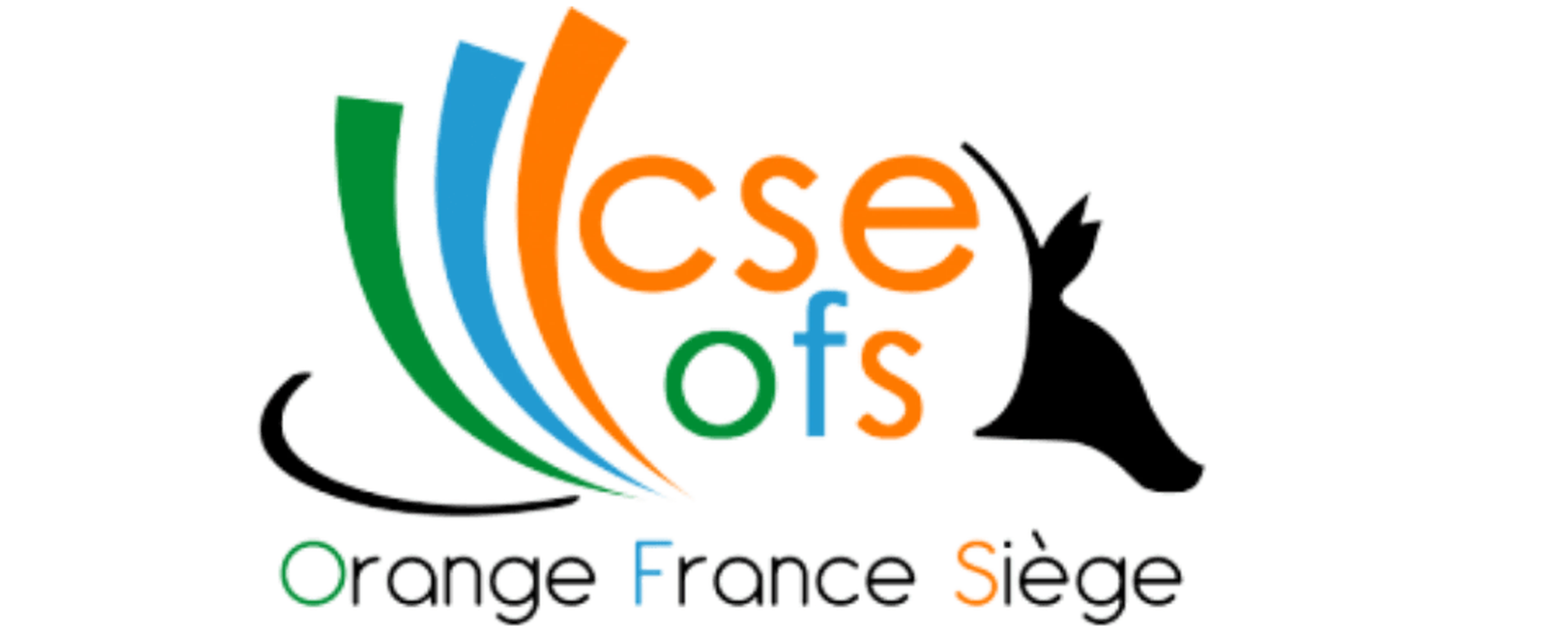 cseorange.avif