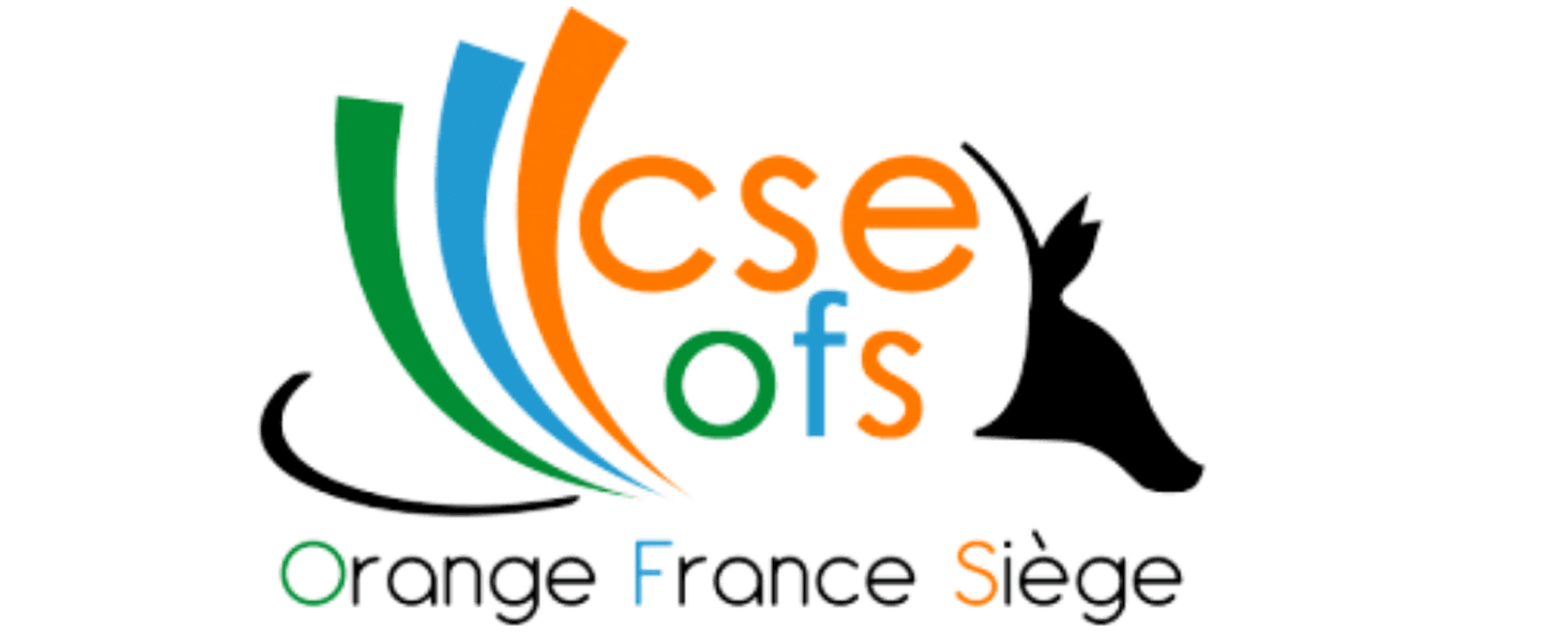 cseorange.avif