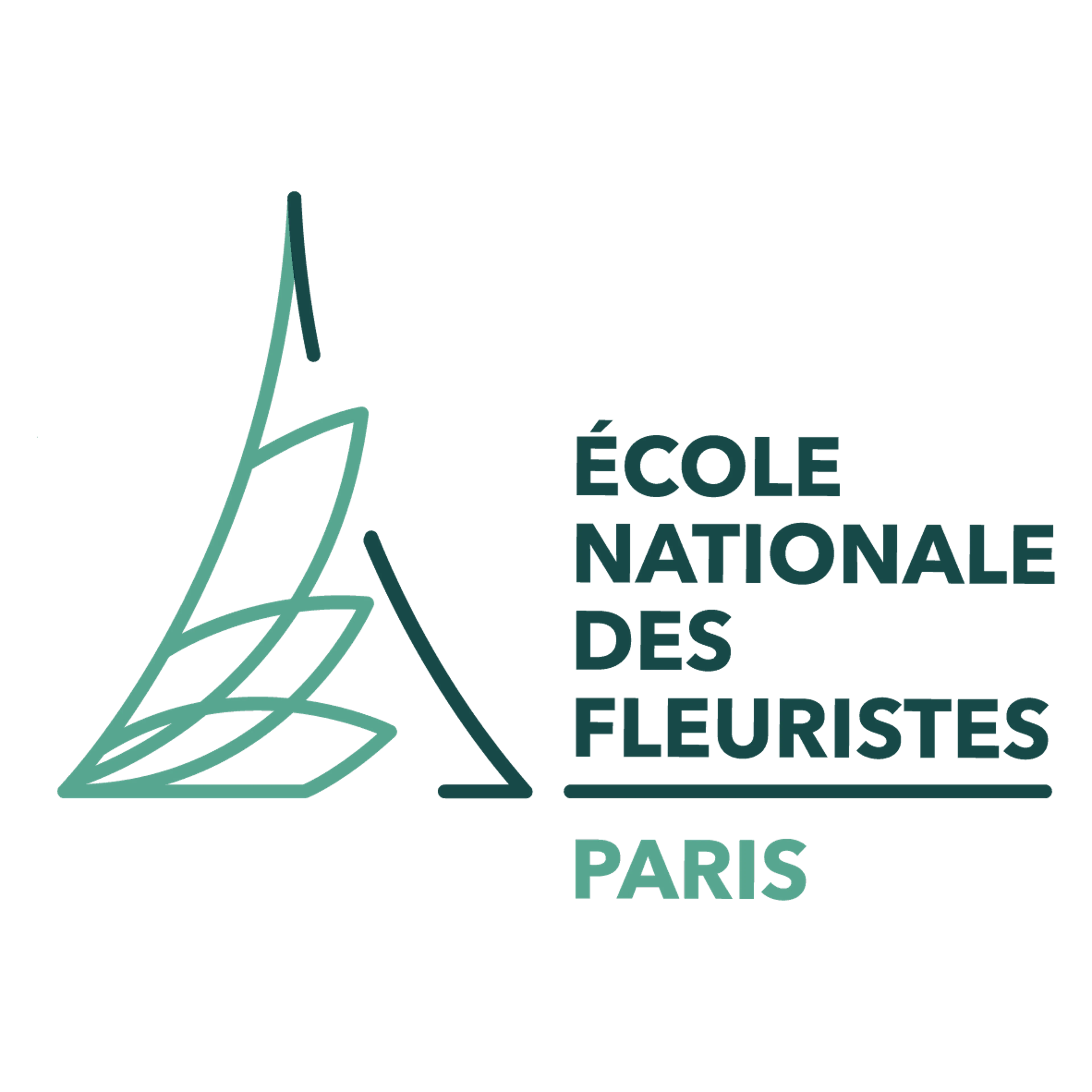 ecole-nationale-des-fleuristes.avif
