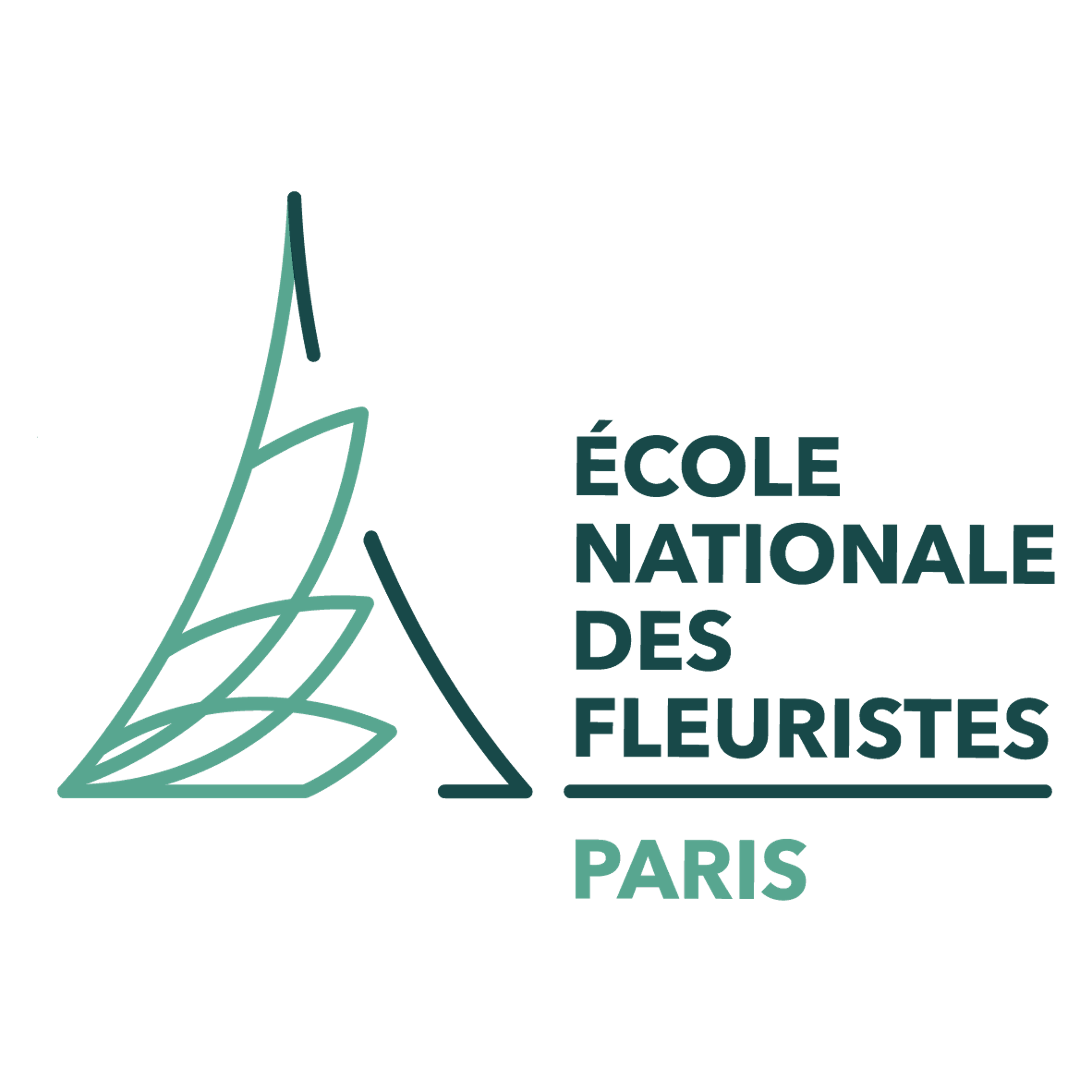 ecole-nationale-des-fleuristes.avif