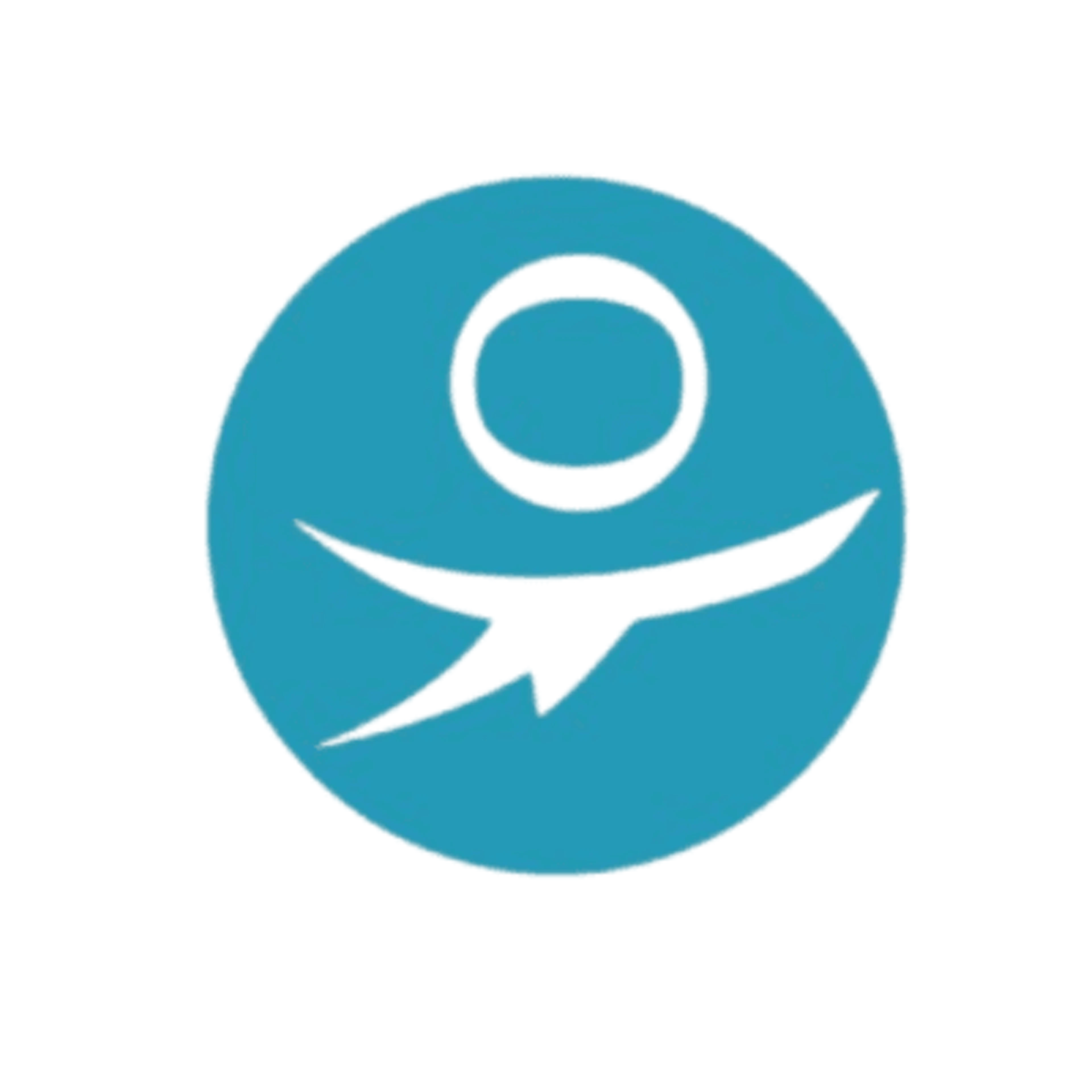 logo paylead (2).png