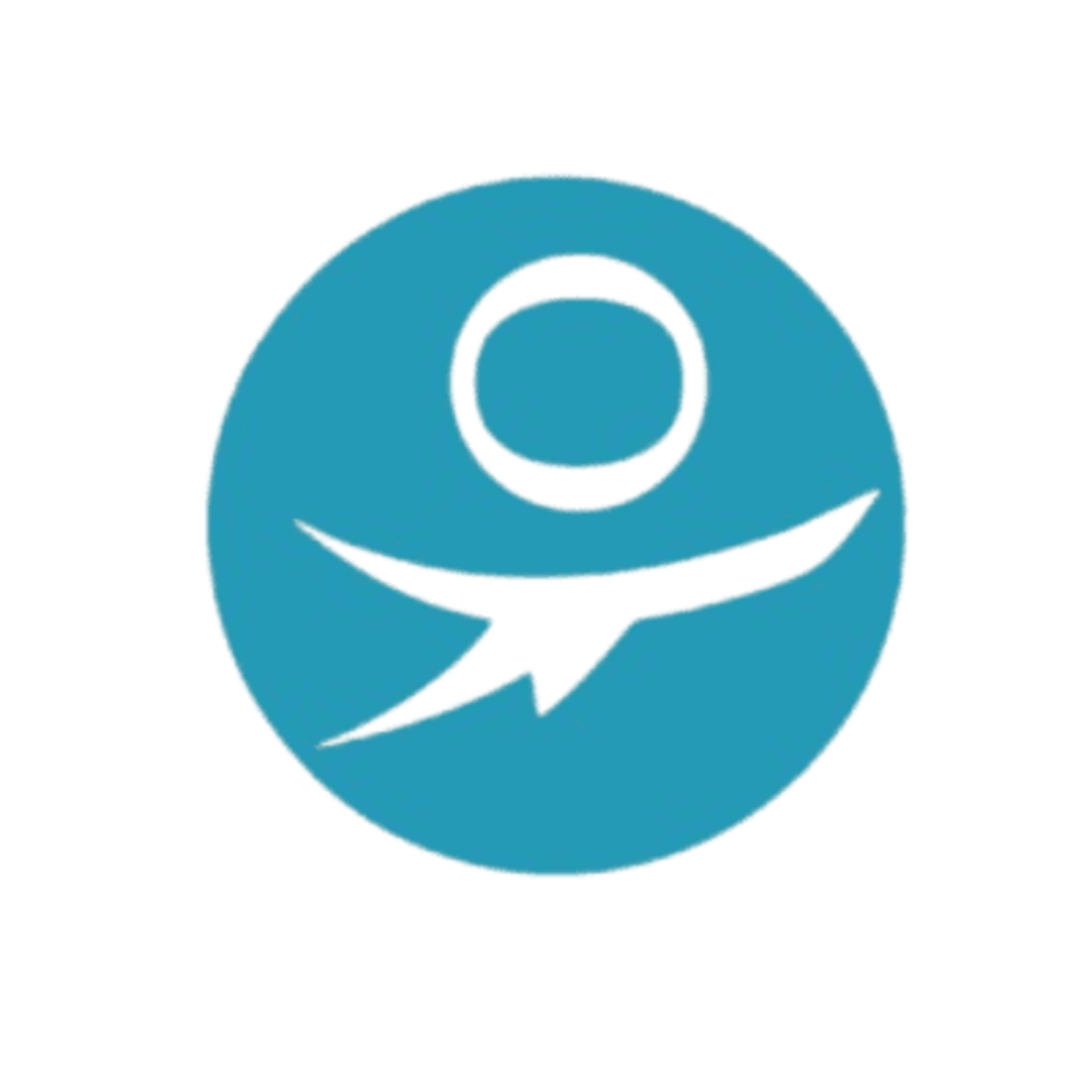 logo paylead  (2).png