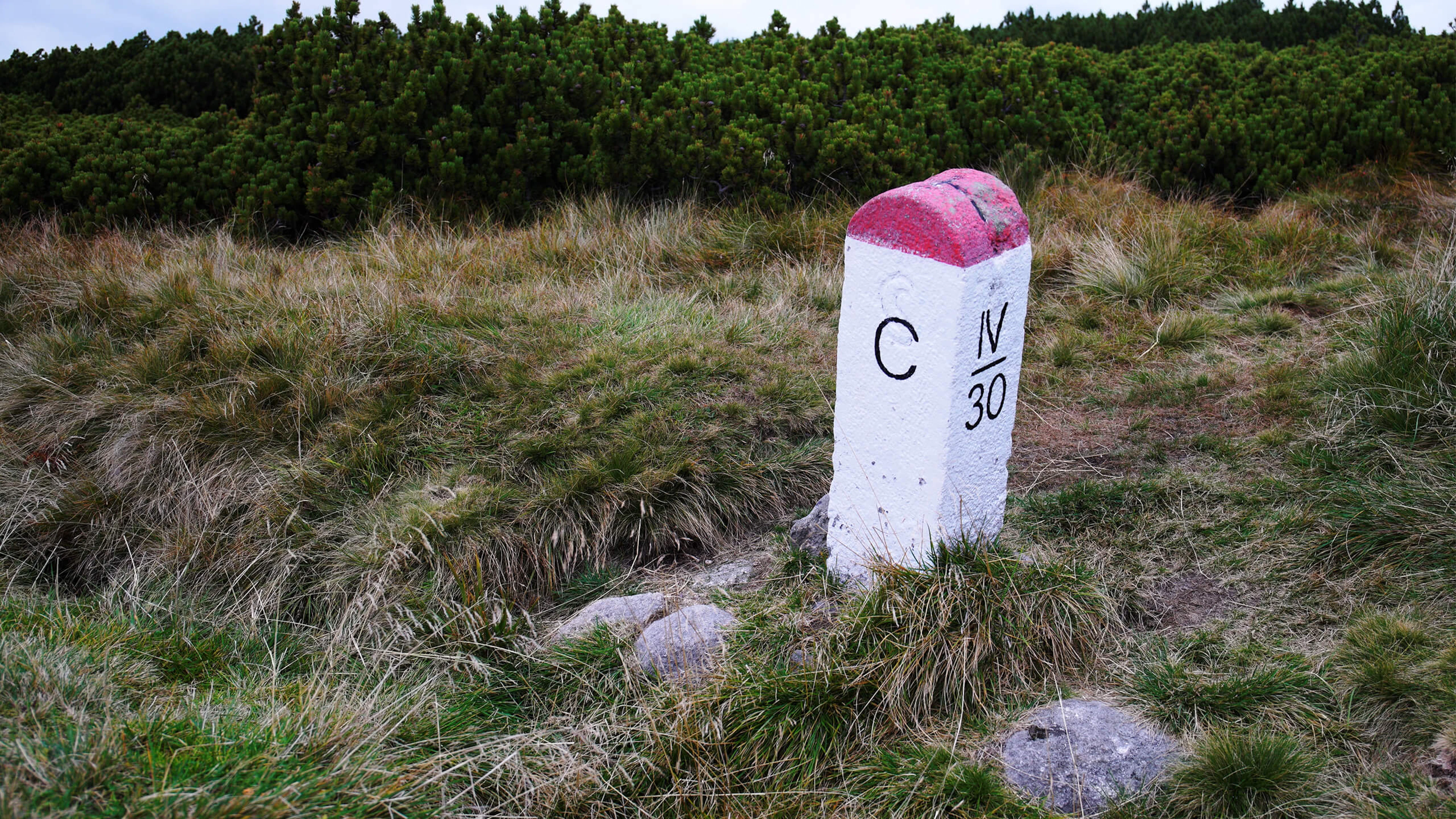 Route nationale